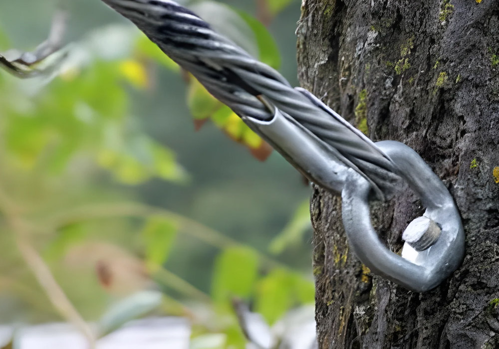tree cabling