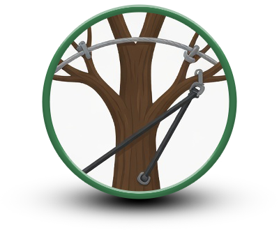 tree bracing