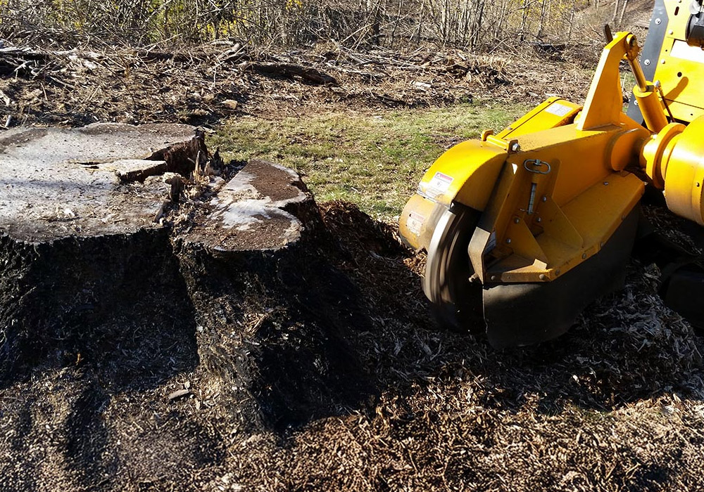 stump grinding